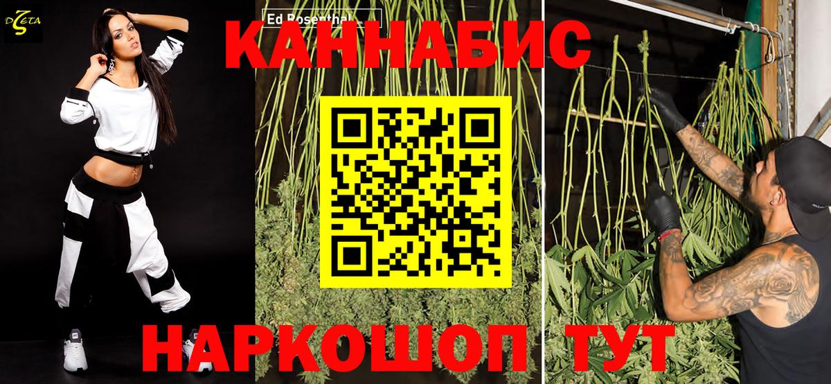 Канабис индика Чехов